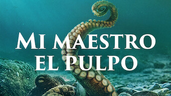 MaestroPulpo