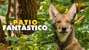 Patio Fantastico